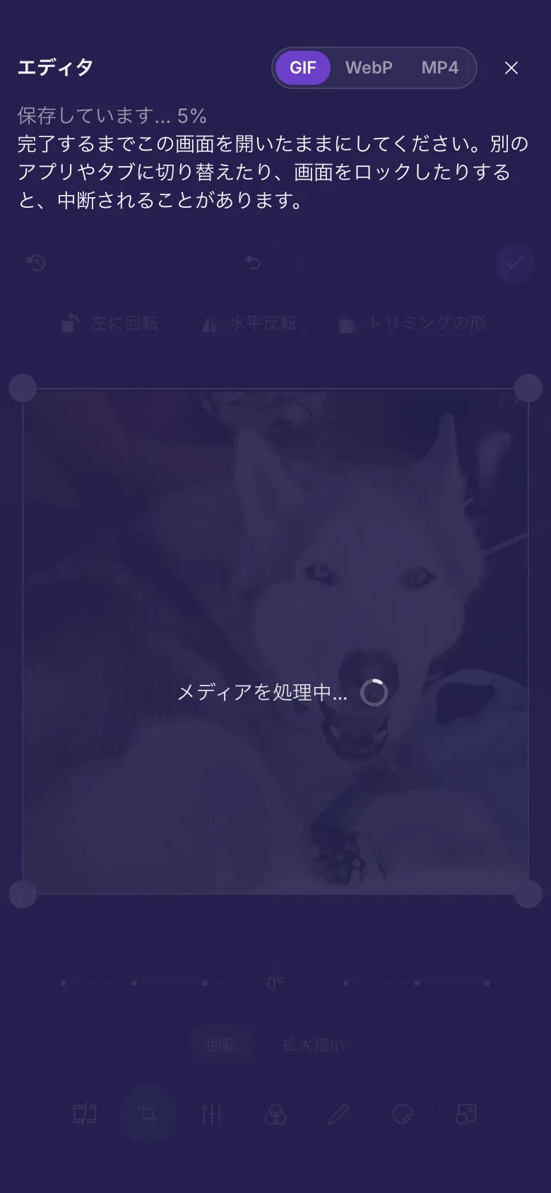 GIF を保存しているエディタ