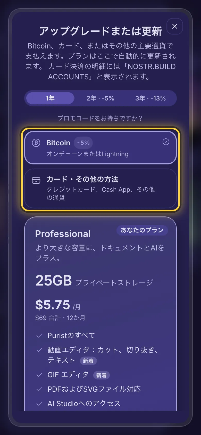 支払い方法の選択。Bitcoin、またはカード・その他の方法。