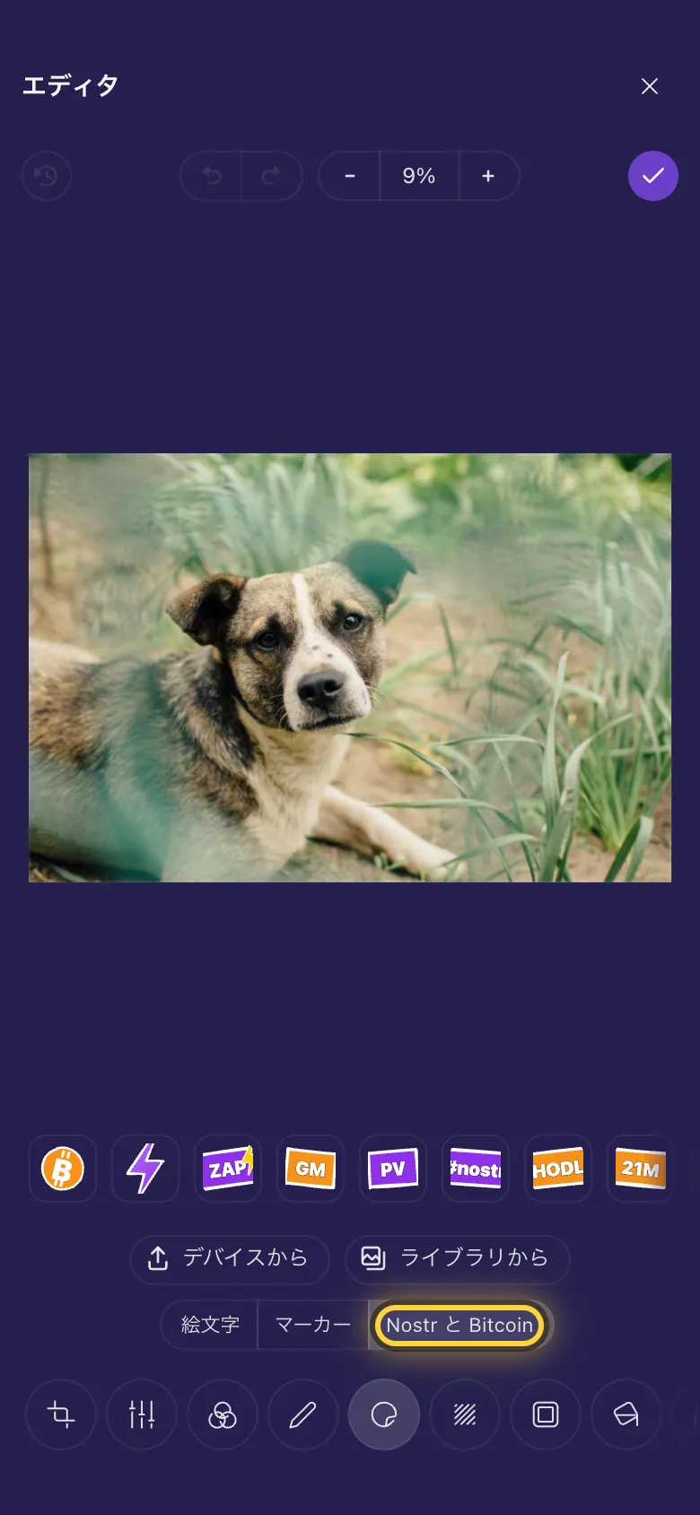 犬の写真の下に並んだ Nostr と Bitcoin のステッカー