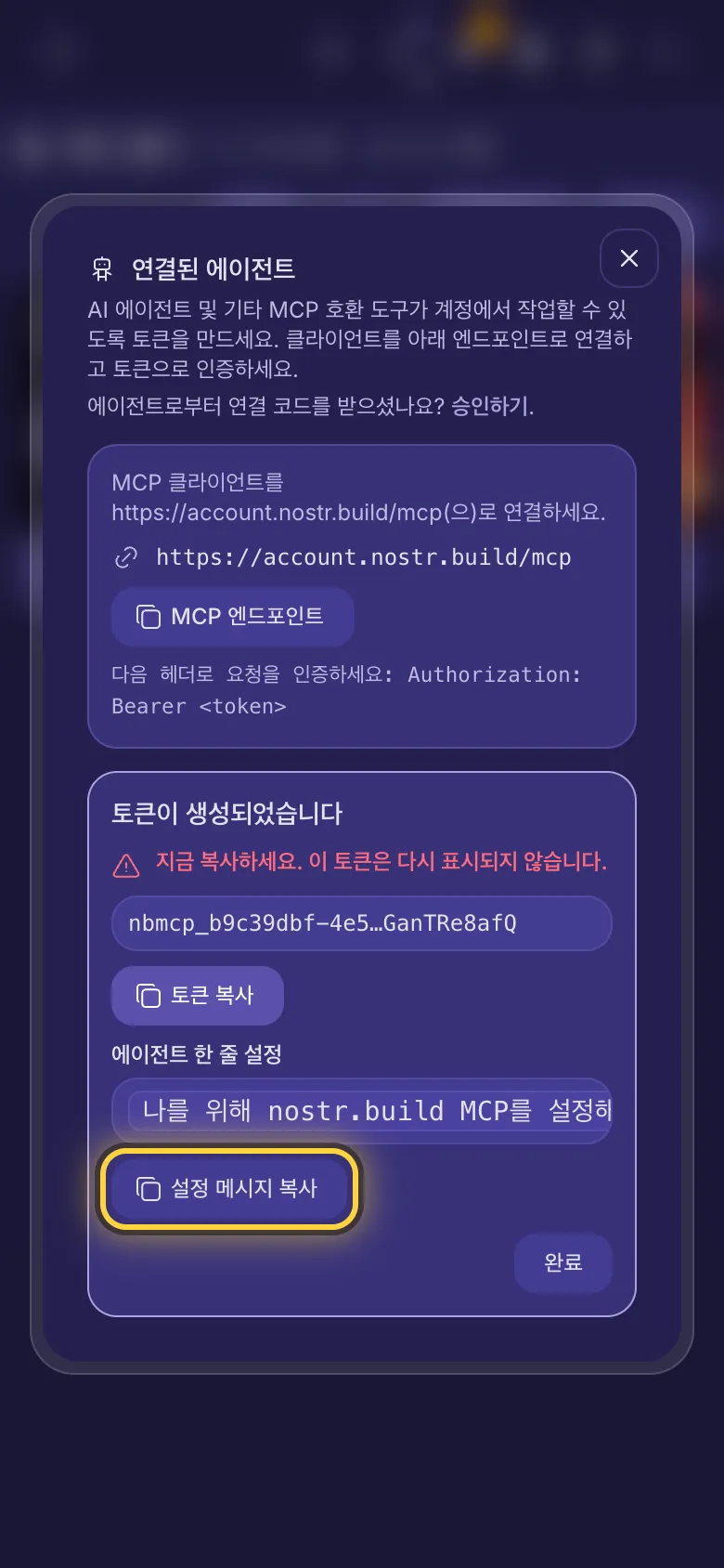 토큰이 만들어진 화면: 토큰, 복사 버튼, 한 줄짜리 설정 메시지.