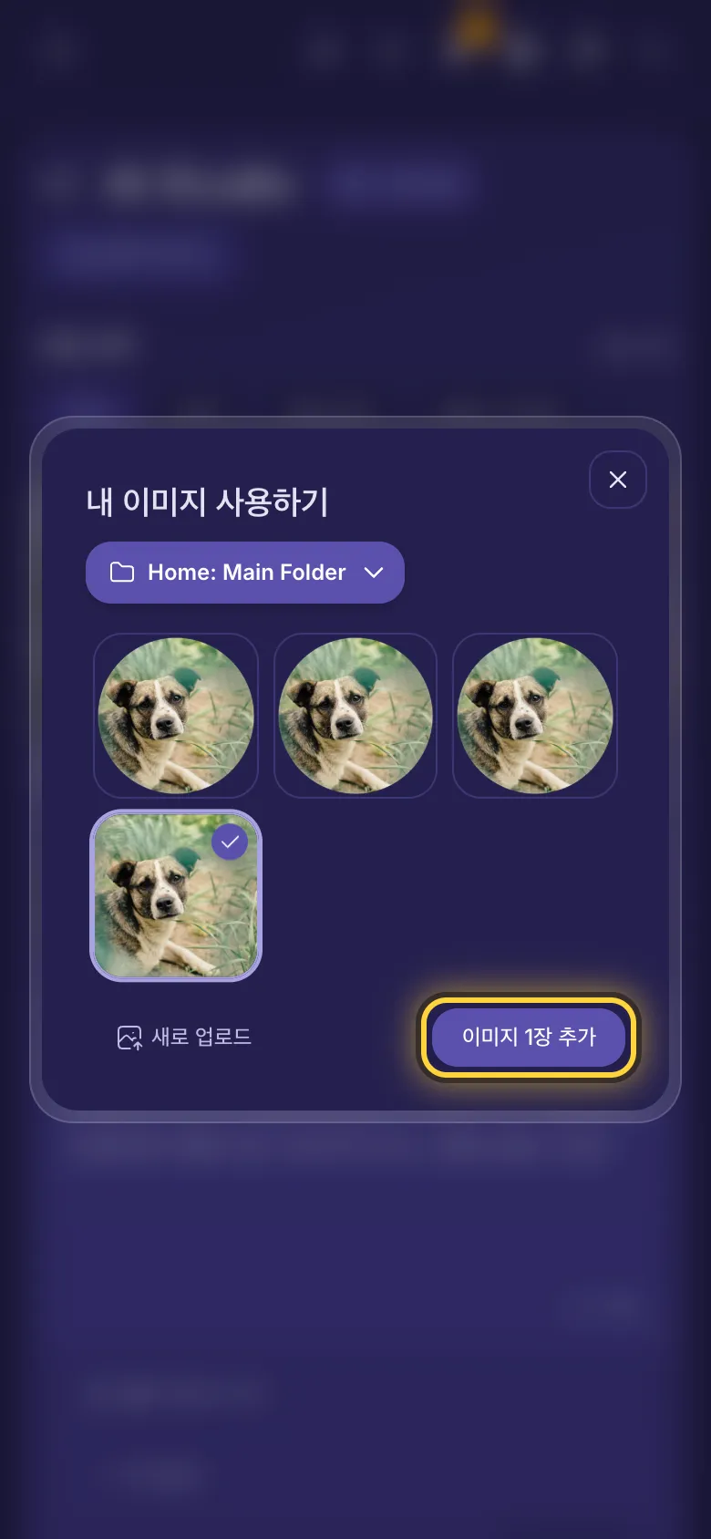 내 이미지 사용하기: 폴더의 이미지, 폴더 메뉴, 새로 업로드, 추가 버튼.