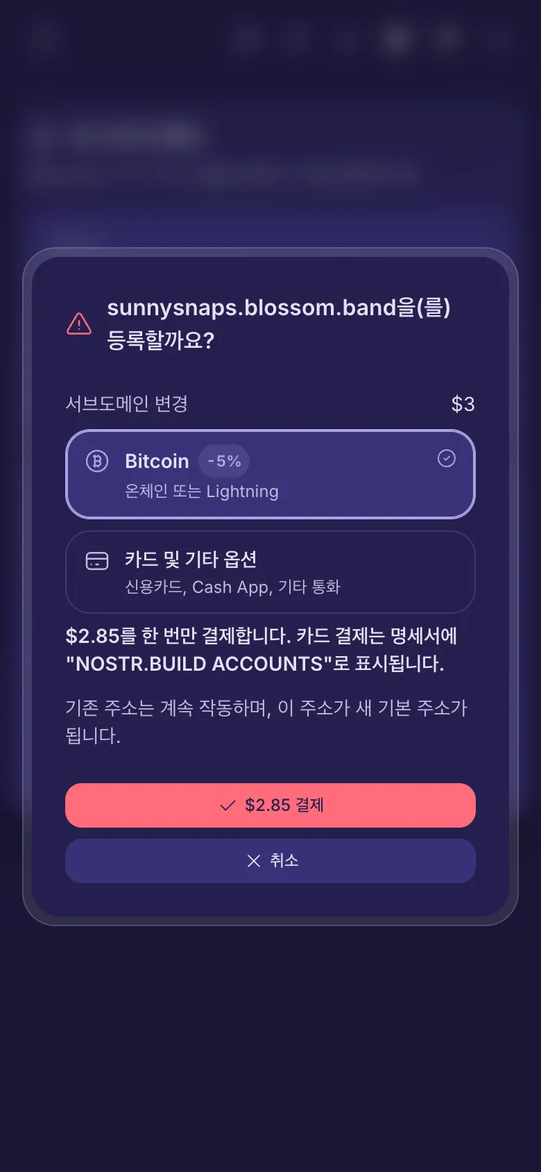 유료 이름을 등록하기 전의 확인 창, 요금과 결제 수단 선택이 보입니다.