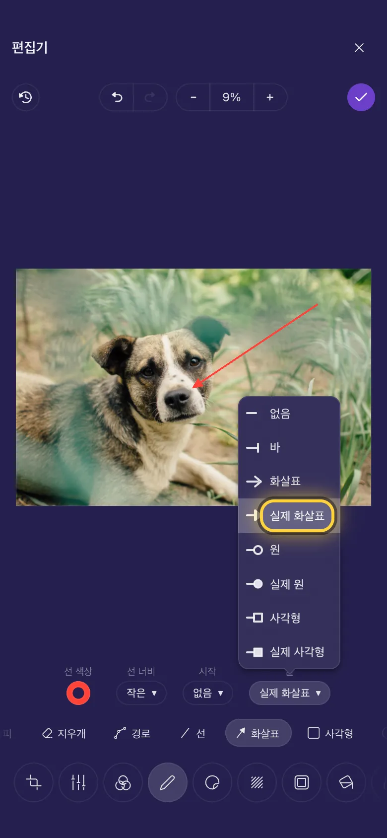 강아지 코를 가리키는 화살표와 열려 있는 선 끝 목록