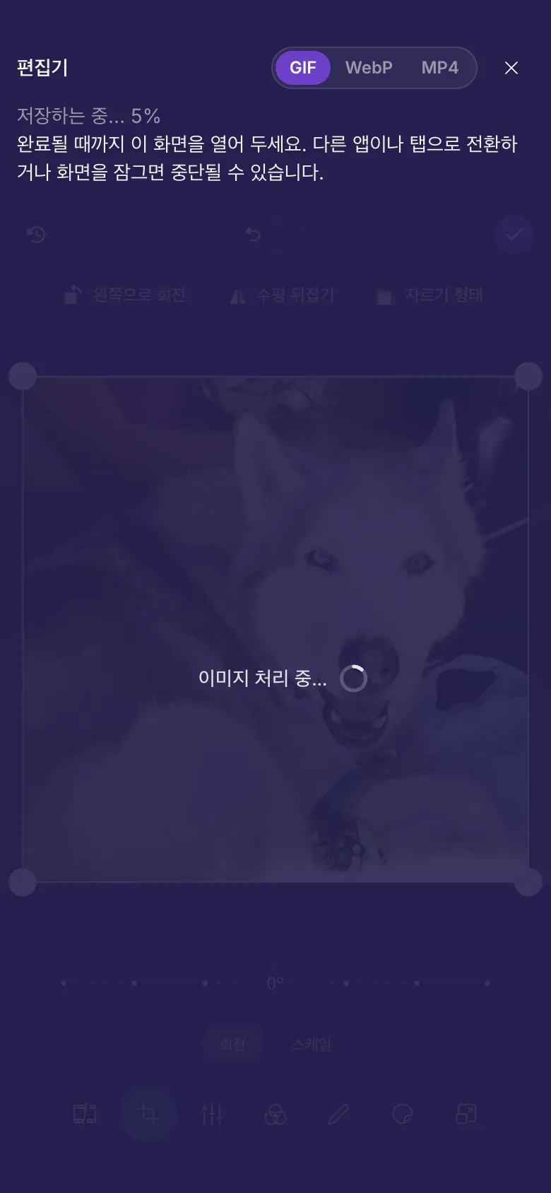 GIF를 저장하고 있는 편집기