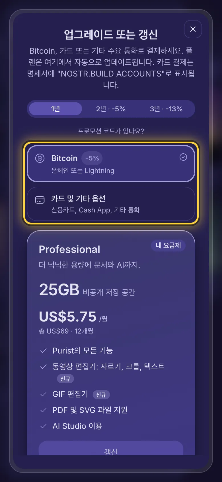 결제 방법 선택: Bitcoin, 또는 카드 및 기타 옵션.