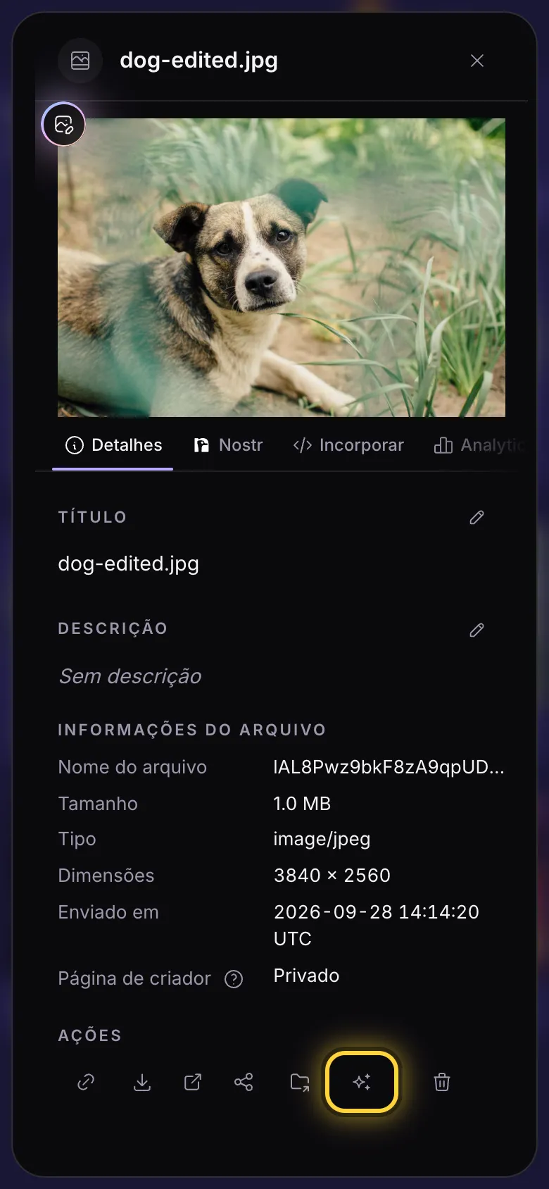 O painel de detalhes de uma imagem, com o botão Usar no AI Studio destacado.