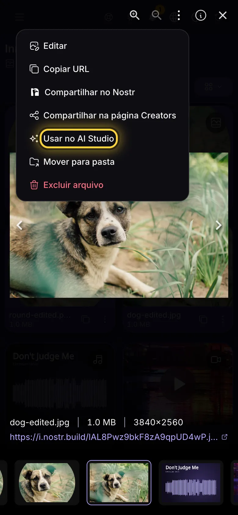 Uma imagem aberta em tela cheia, com o menu Ações aberto e Usar no AI Studio destacado.