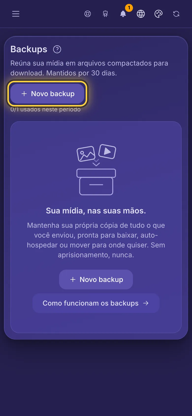 Backups, com o botão Novo backup e quantos backups restam neste período.