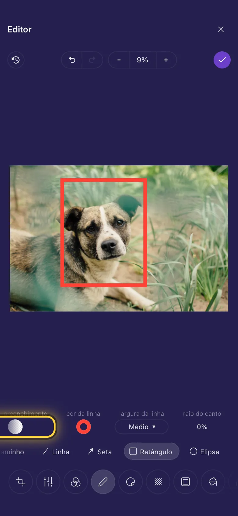 Um retângulo com contorno vermelho em volta da cara de um cachorro