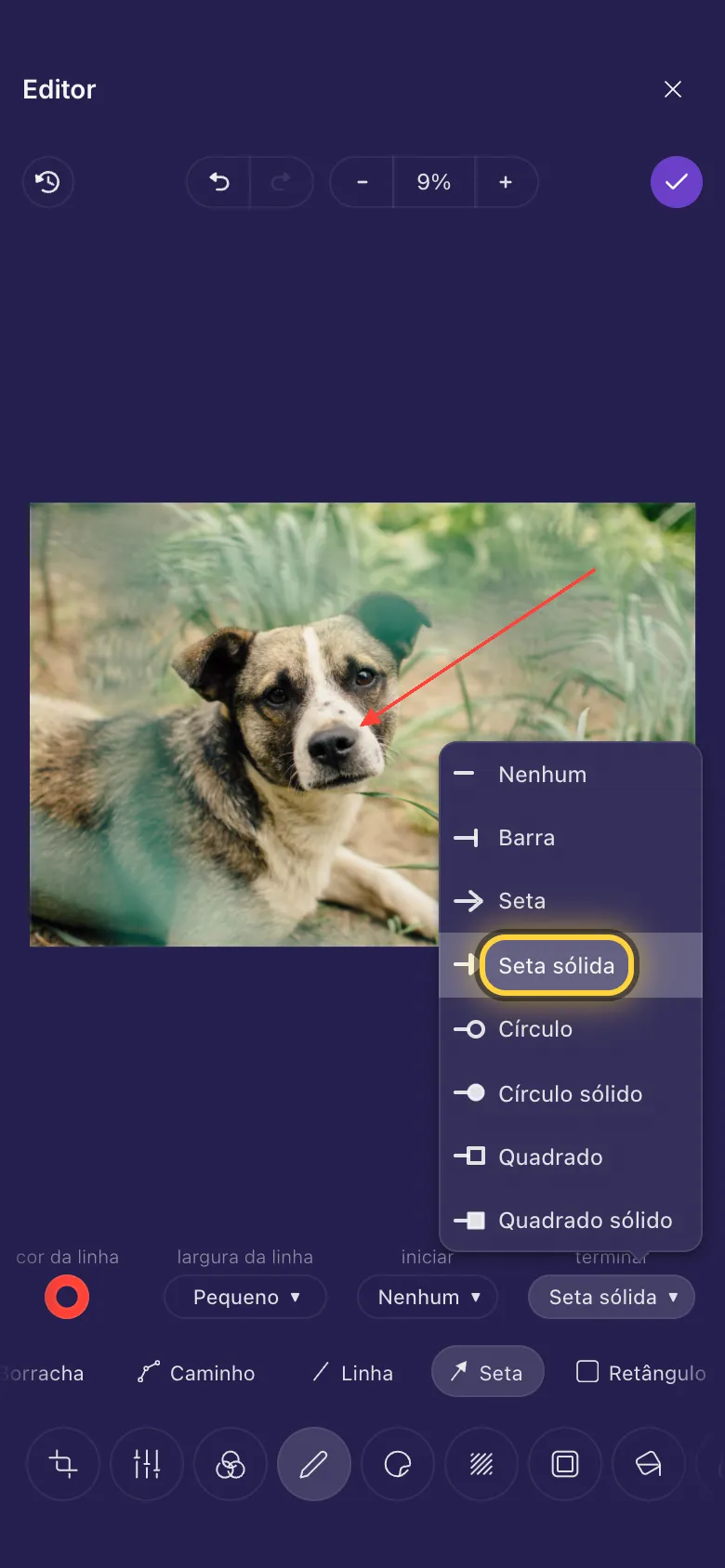 Uma seta apontando para o focinho de um cachorro, com a lista de pontas de linha aberta