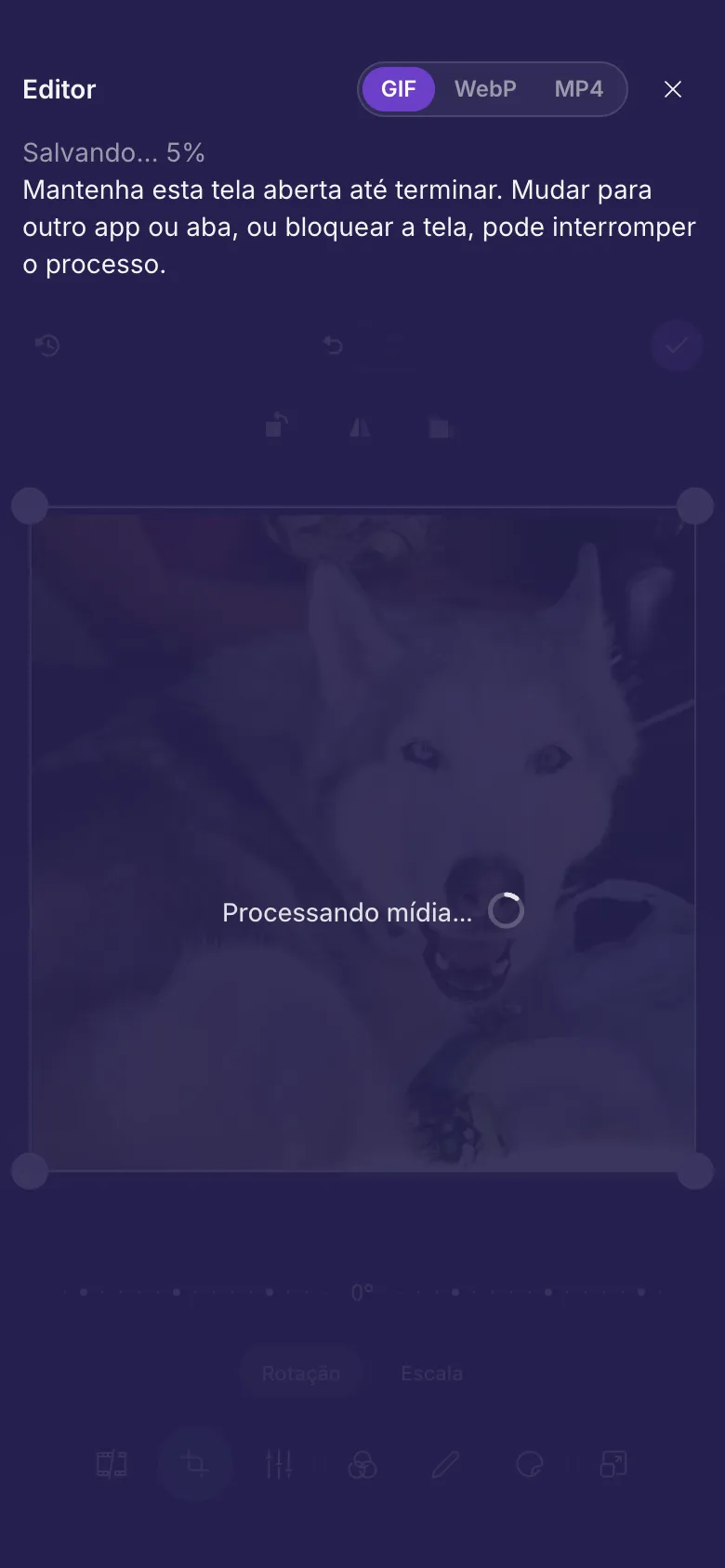 O editor salvando um GIF