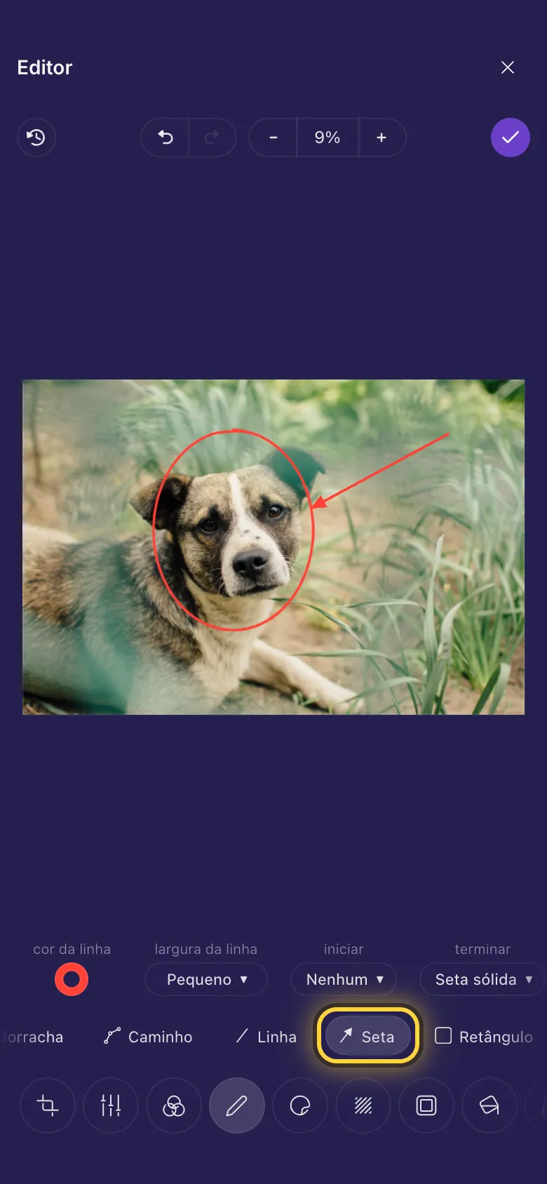 Um círculo vermelho desenhado em volta da cara de um cachorro, com uma seta apontando para ele