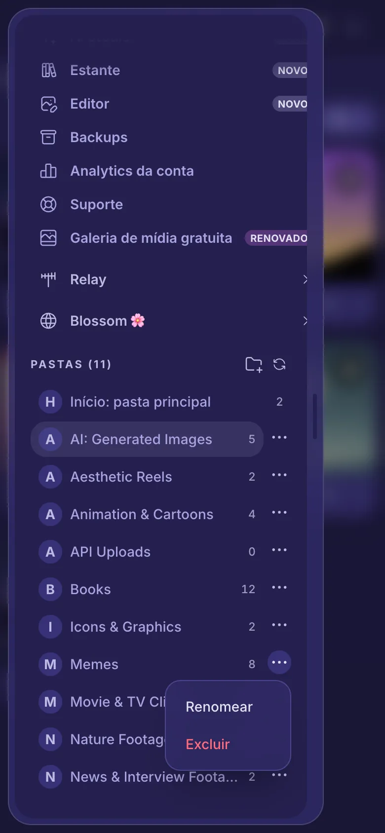 O menu de uma pasta aberto, mostrando Renomear e Excluir.