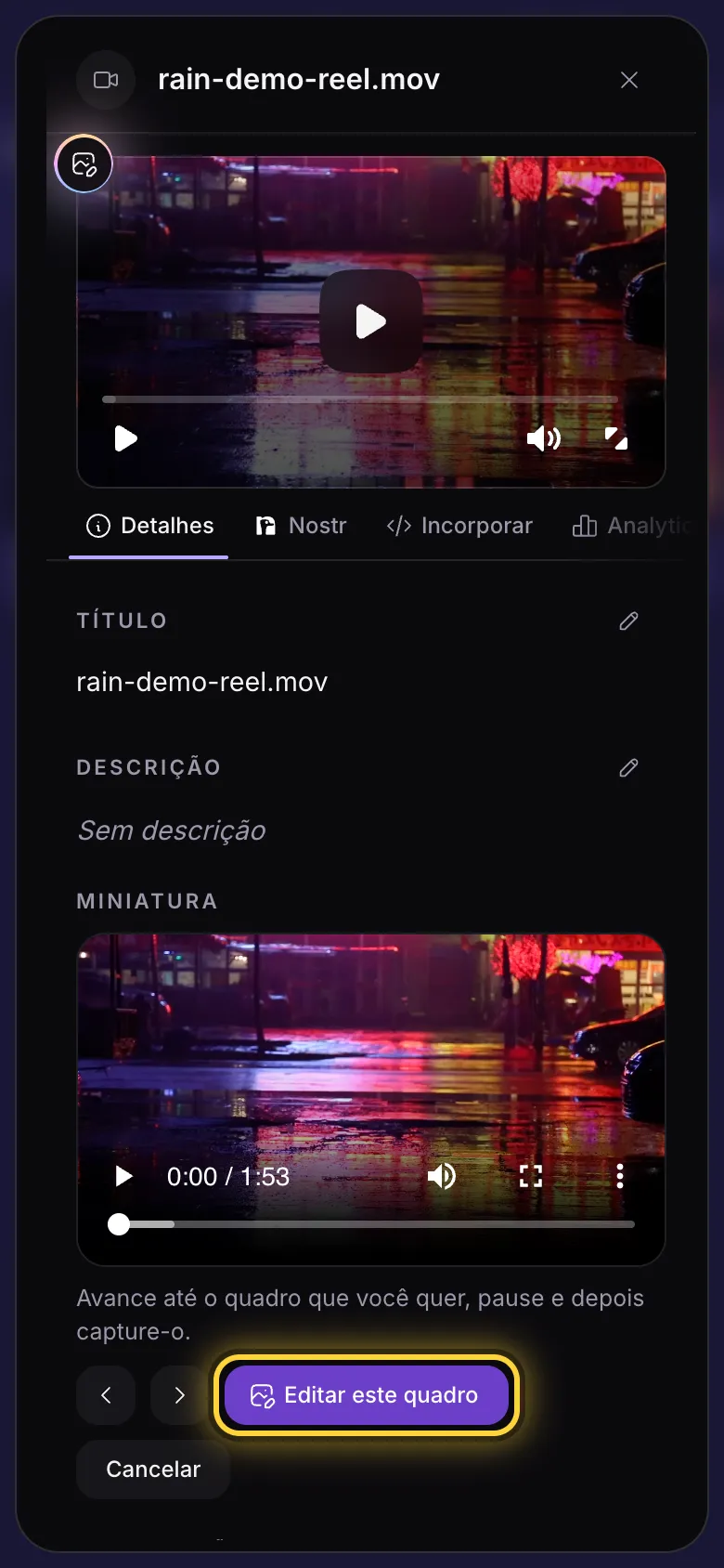 Os detalhes de um vídeo com Editar este quadro circulado na seção Miniatura