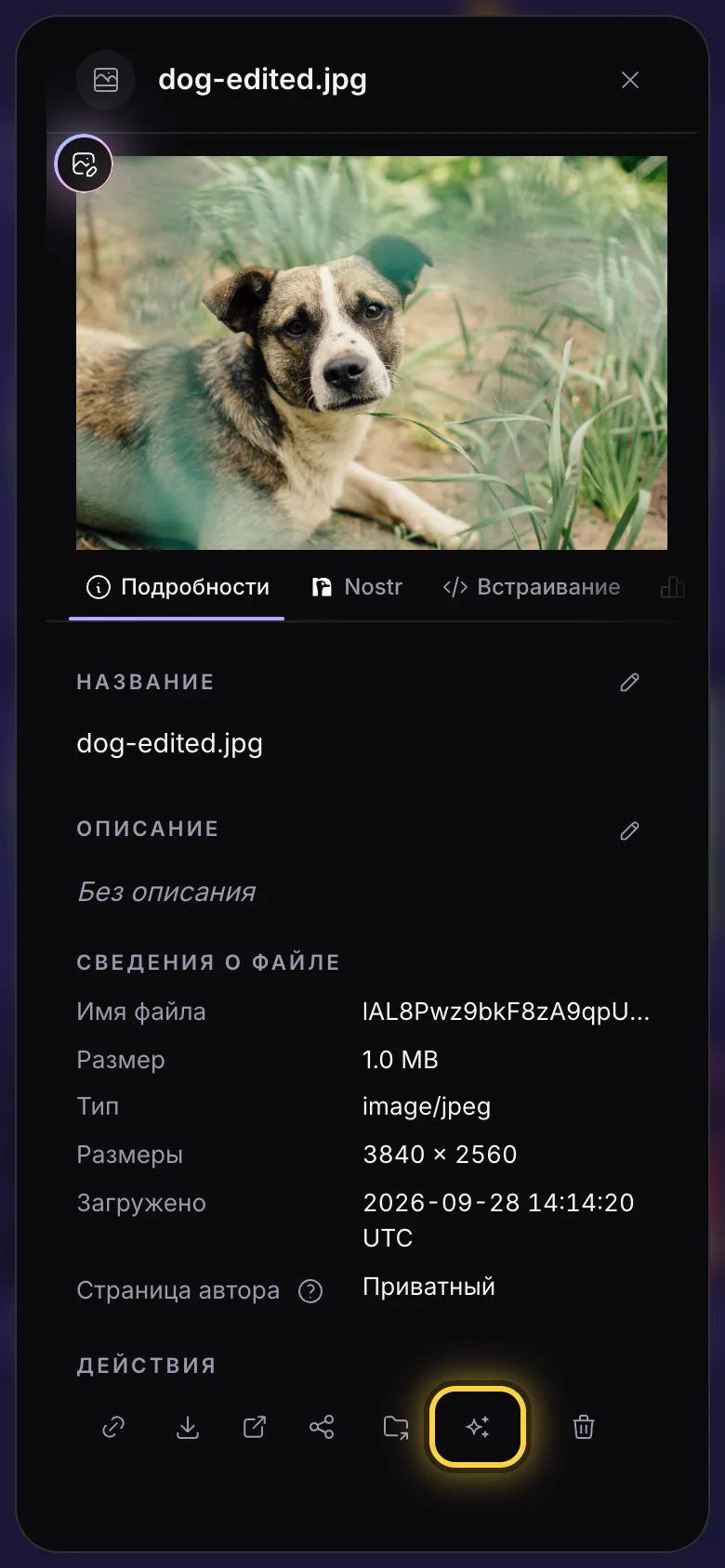 Панель сведений об изображении, отмечена кнопка «Использовать в AI Studio».