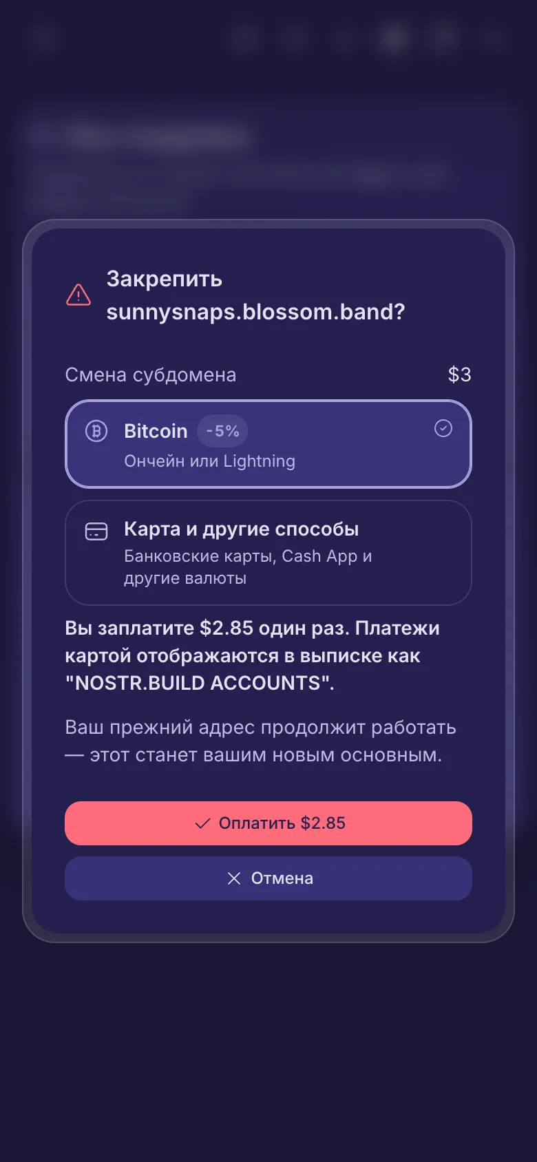 Вопрос перед закреплением платного имени, с суммой и выбором способа оплаты.