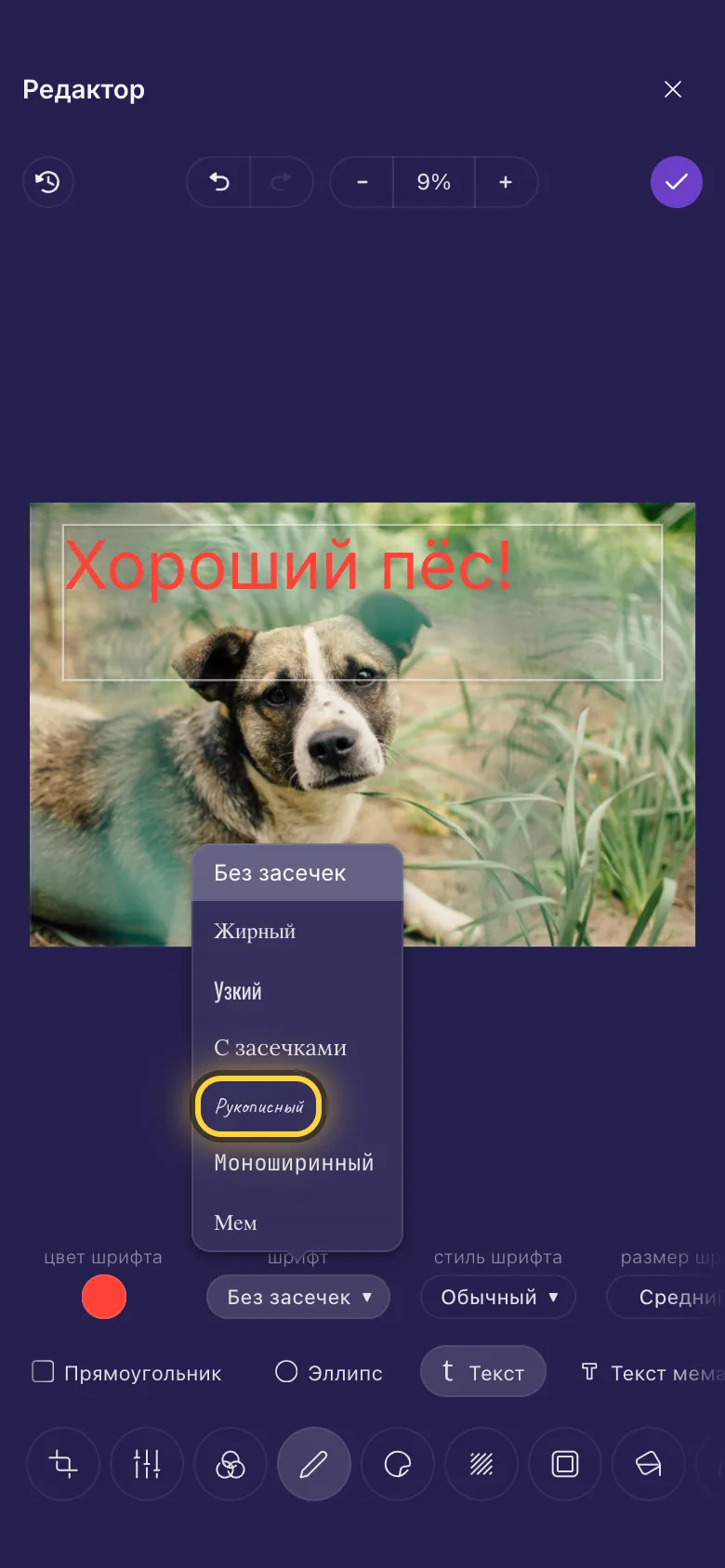 Слова на фото собаки, открыт список шрифтов