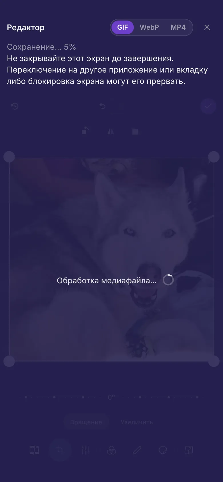 Редактор сохраняет GIF
