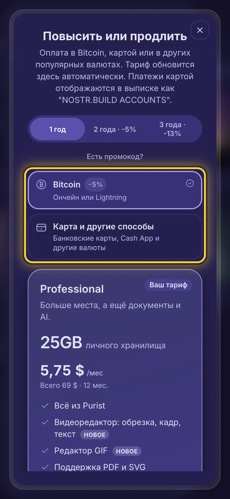 Выбор способа оплаты: Bitcoin или карта и другие способы.