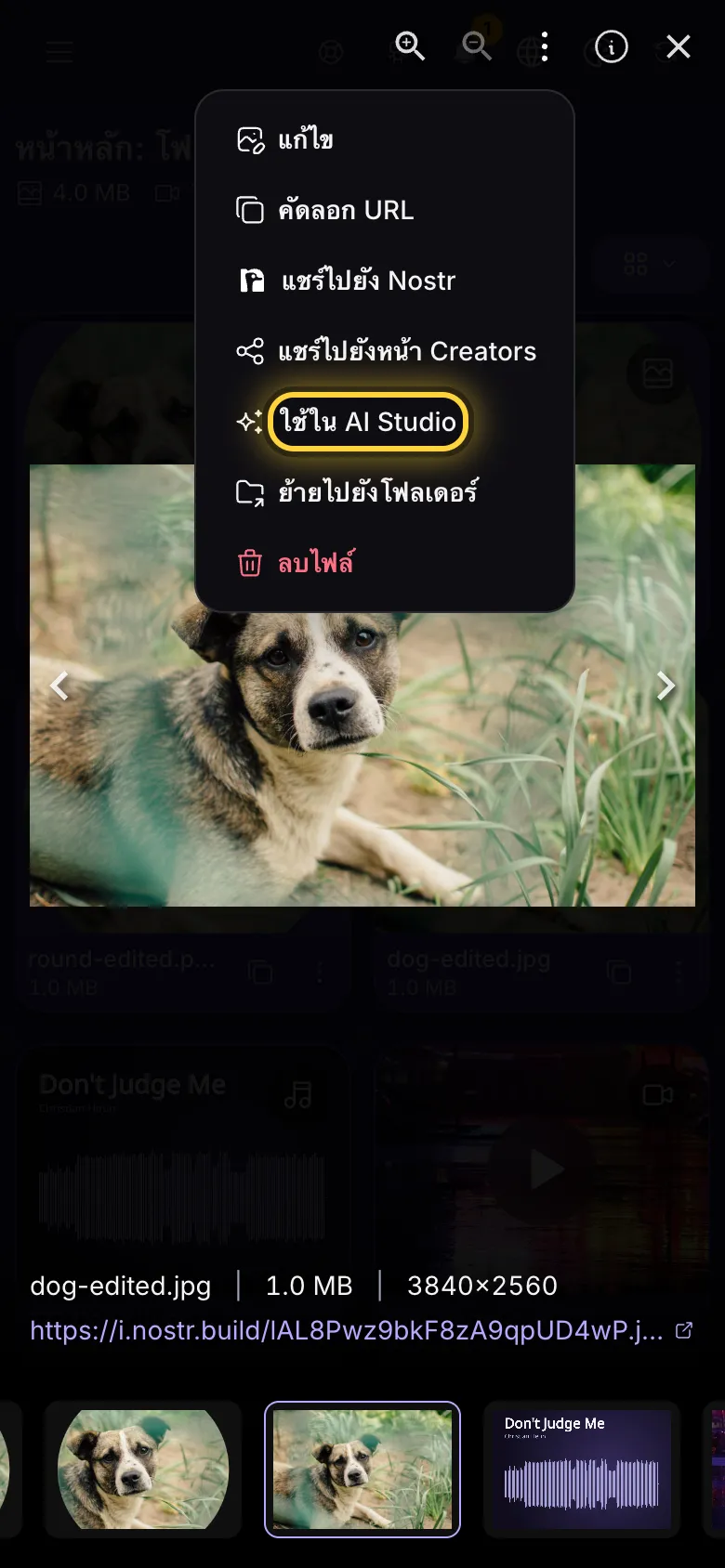 รูปภาพที่เปิดเต็มจอ เมนูการดำเนินการเปิดอยู่ และมีการทำเครื่องหมายที่ใช้ใน AI Studio