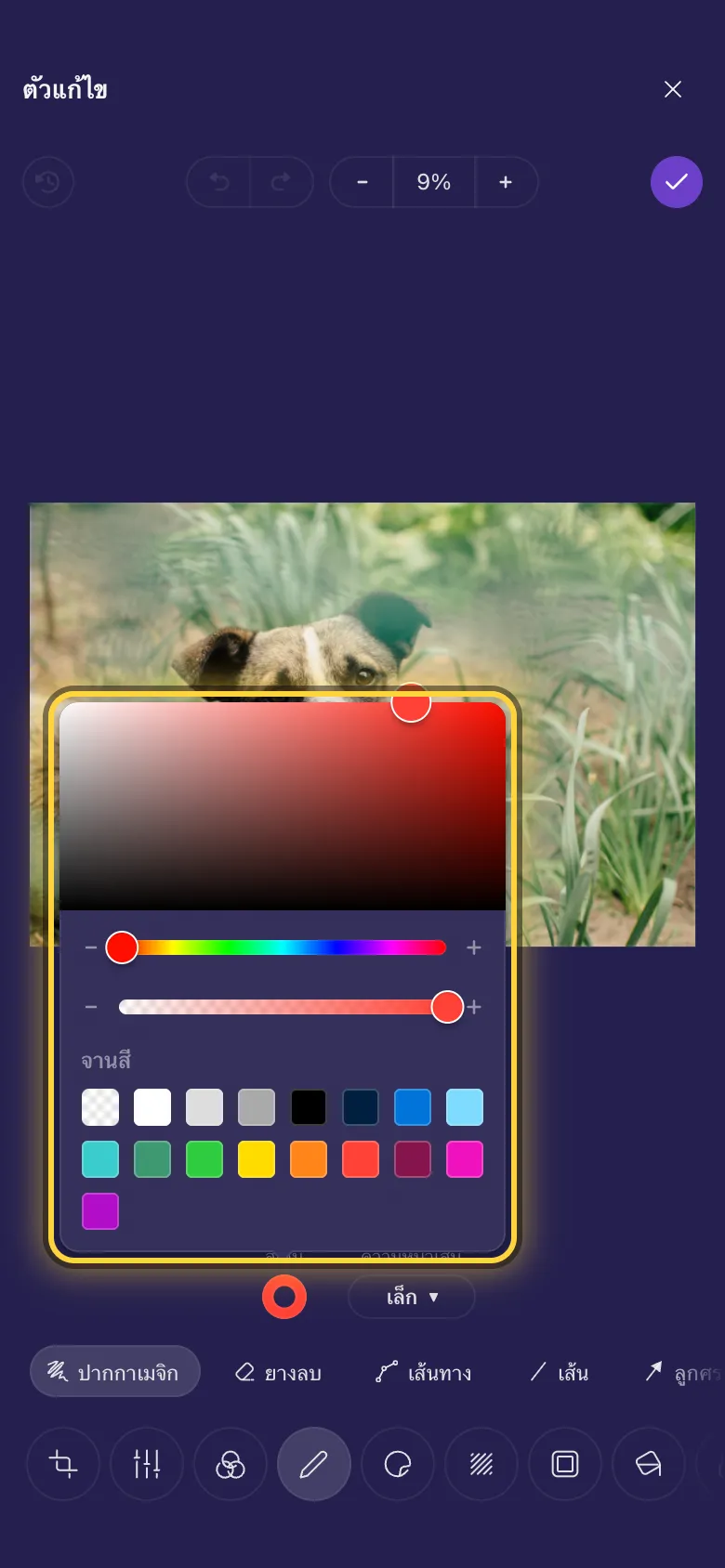 ตัวเลือกสีเปิดอยู่บนรูปภาพ พร้อมจานสี