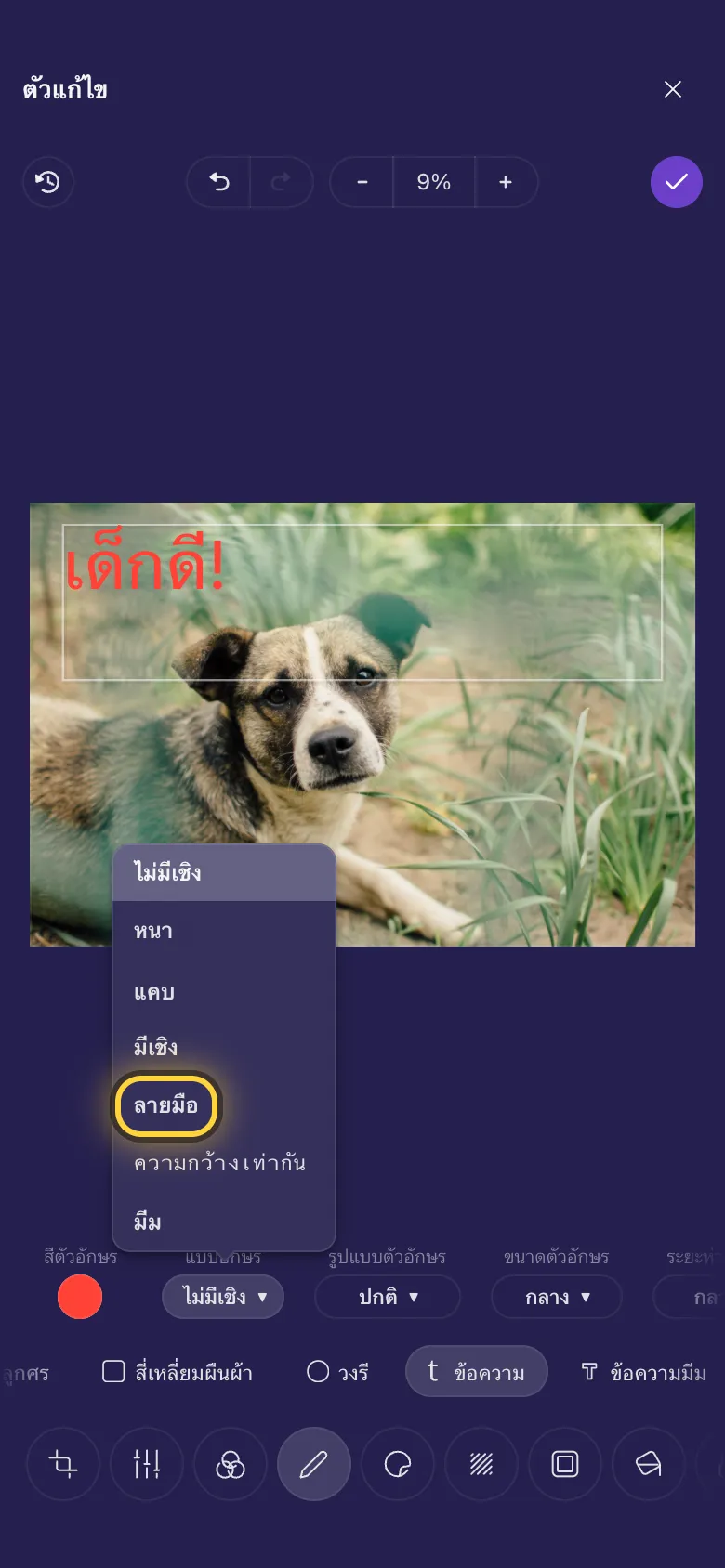 ข้อความบนรูปสุนัข โดยเปิดรายการแบบอักษรอยู่