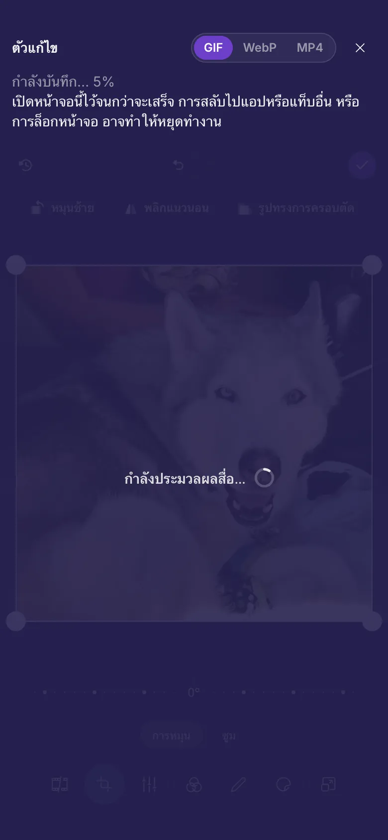 ตัวแก้ไขกำลังบันทึก GIF