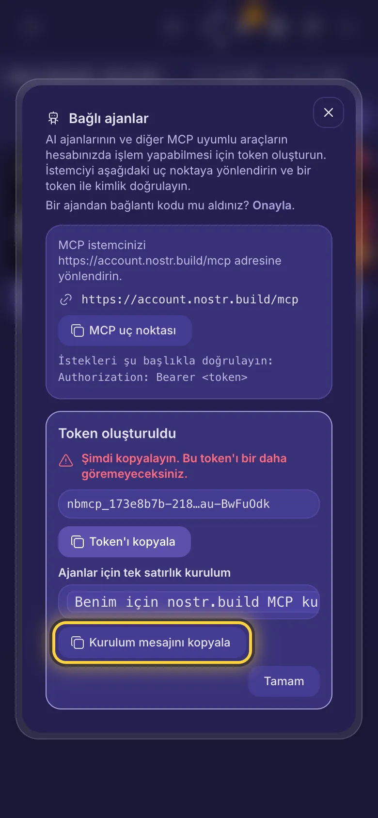 Token oluşturuldu: token, bir kopyalama düğmesi ve tek satırlık kurulum mesajı.