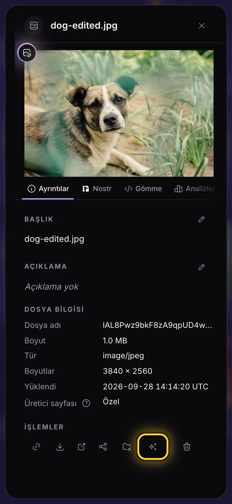 Bir görselin ayrıntılar paneli, AI Studio'da kullan düğmesi işaretli.