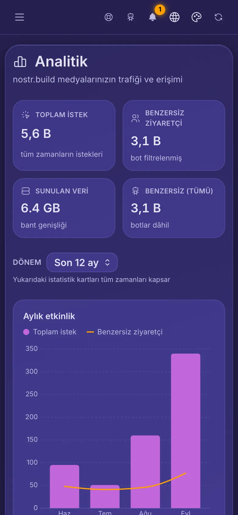 Hesap Analizleri: dört toplam ve aylık etkinlik grafiği.
