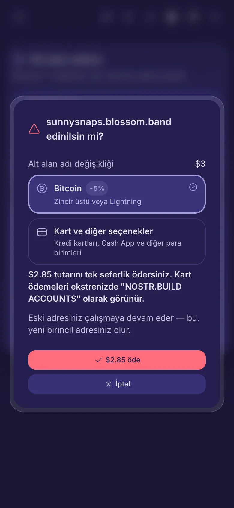 Ücretli bir ad edinmeden önceki soru, ücret ve ödeme yöntemi seçimiyle.