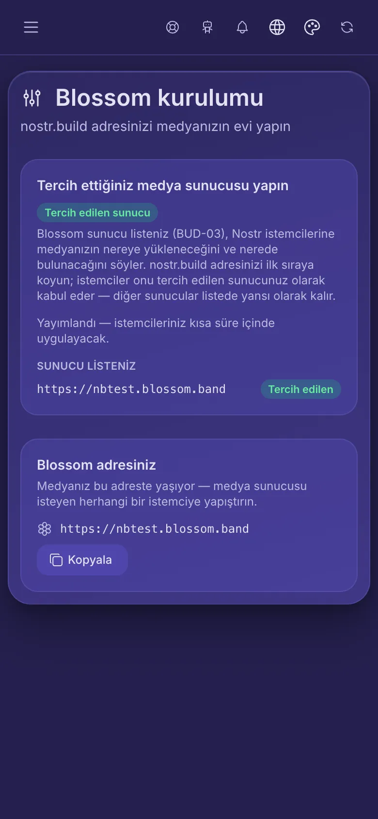 Blossom kurulumu: adresinizin tercih edilen olarak işaretlendiği sunucu listeniz ve kopyalanacak Blossom adresiniz.