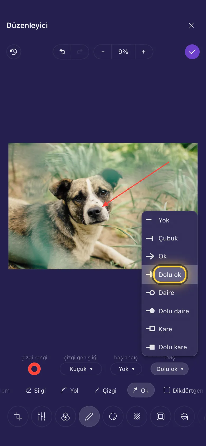 Bir köpeğin burnunu gösteren ok, çizgi uçları listesi açık
