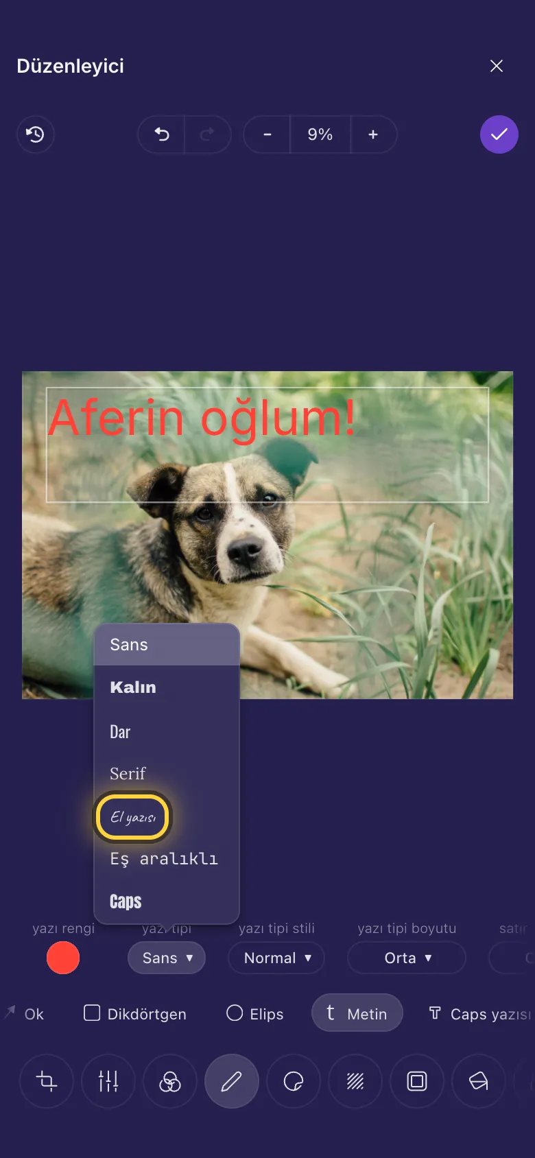 Bir köpek fotoğrafı üzerinde yazı, yazı tipi listesi açık