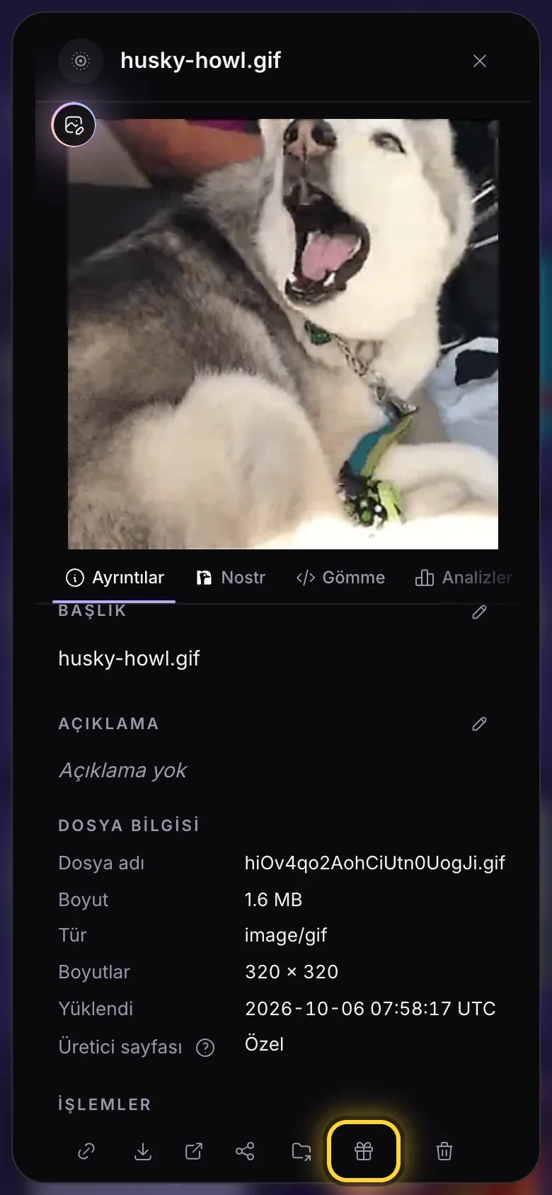Bir GIF'in ayrıntılarındaki hediye kutusu düğmesi, daire içine alınmış