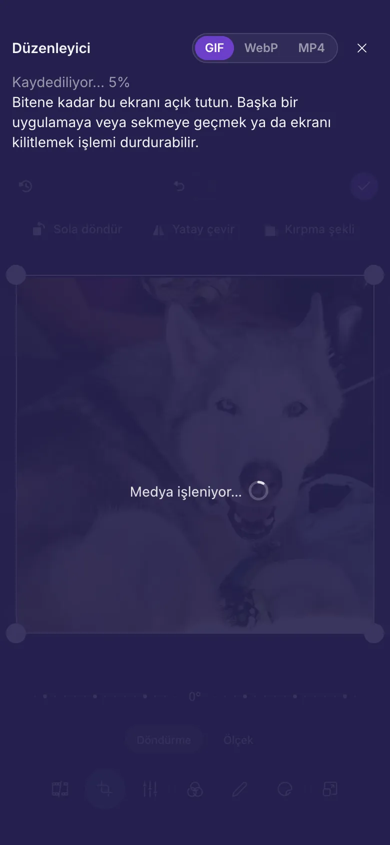 Düzenleyici bir GIF'i kaydediyor