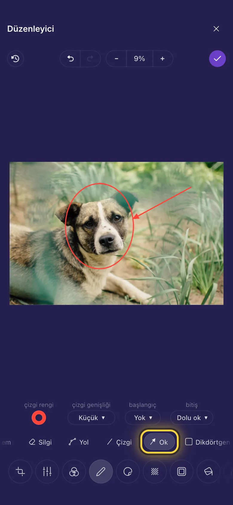 Bir köpeğin yüzünün etrafına çizilmiş kırmızı daire ve ona işaret eden bir ok