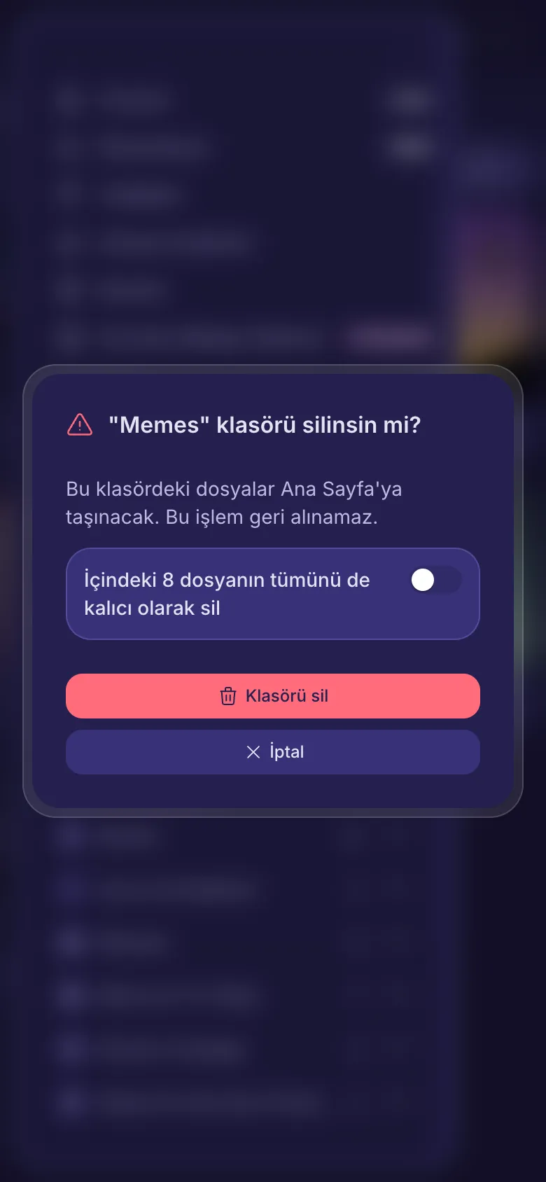 Bir klasör silinmeden önceki soru, dosyalarını da silmek için bir anahtarla birlikte.