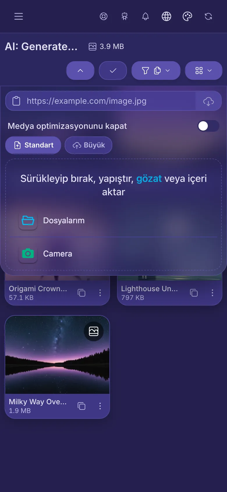 Düğmelerin altında açık yükleme paneli: dosya seçmek için bir alan ve bağlantı için bir kutu.