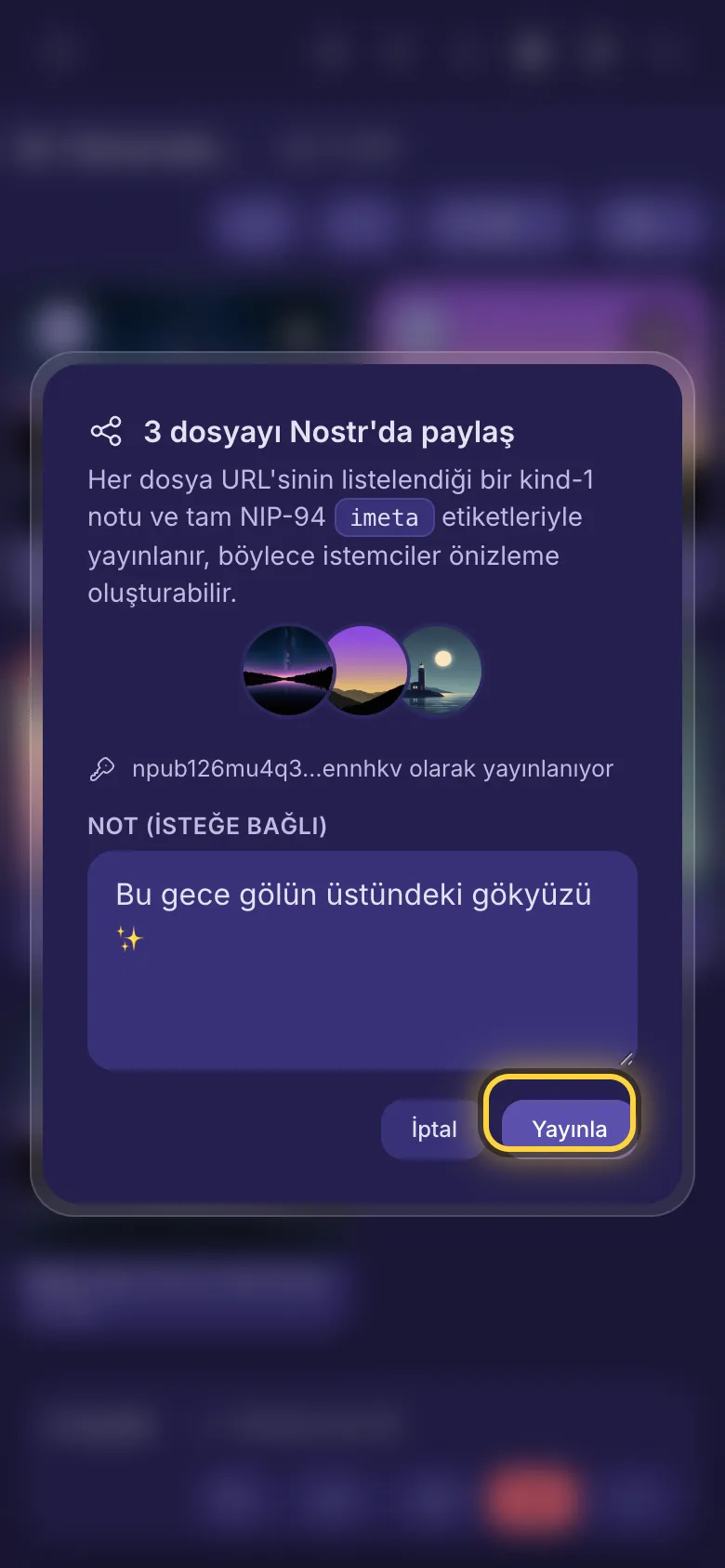 Üç dosyayı Nostr'da paylaşma: not kutusu ve Yayınla düğmesi.