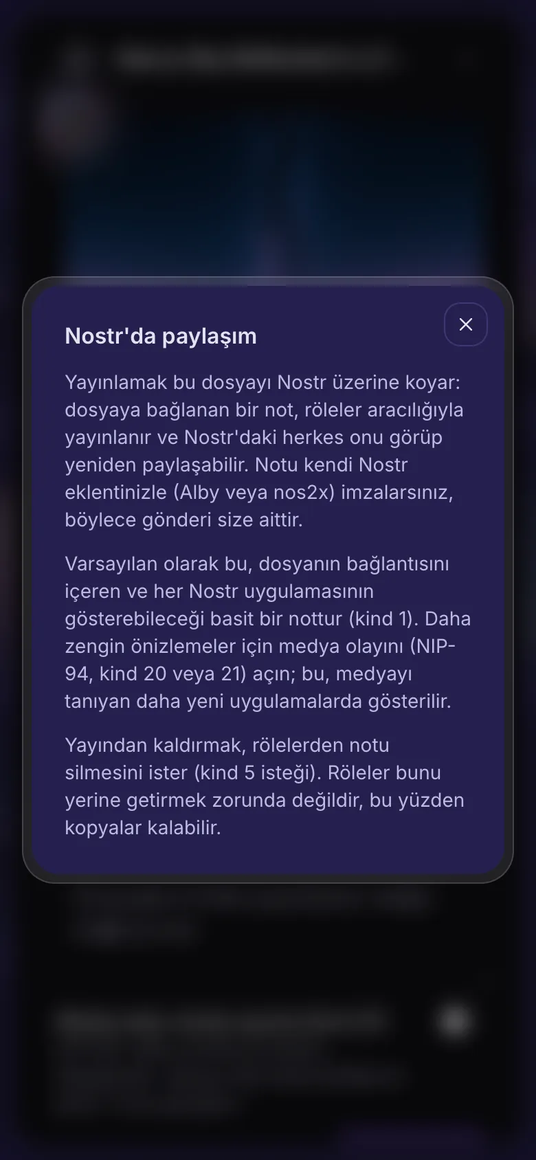 Nostr'da yayınla başlığının yanındaki soru işaretinden açılan açıklama.