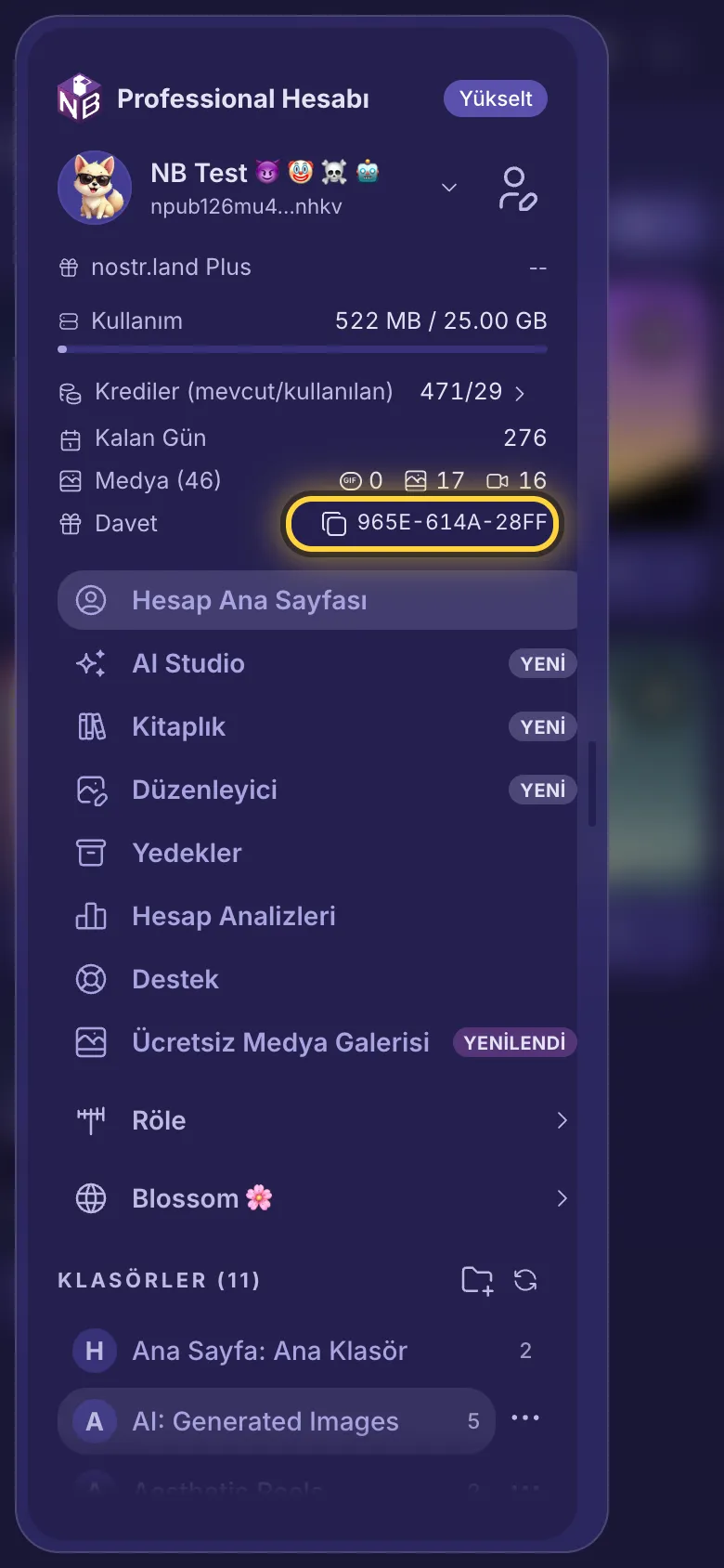 Davet bağlantısı satırı daire içine alınmış menü.