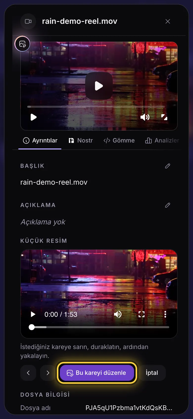 Bir videonun ayrıntıları, Küçük resim bölümünde Bu kareyi düzenle daire içine alınmış