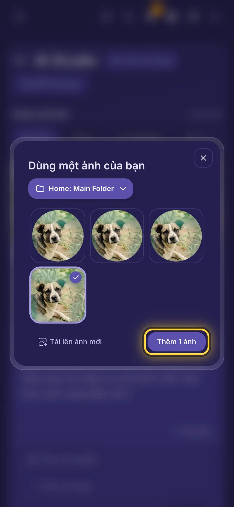 Dùng một ảnh của bạn: các ảnh trong thư mục, menu thư mục, Tải lên ảnh mới và nút thêm.