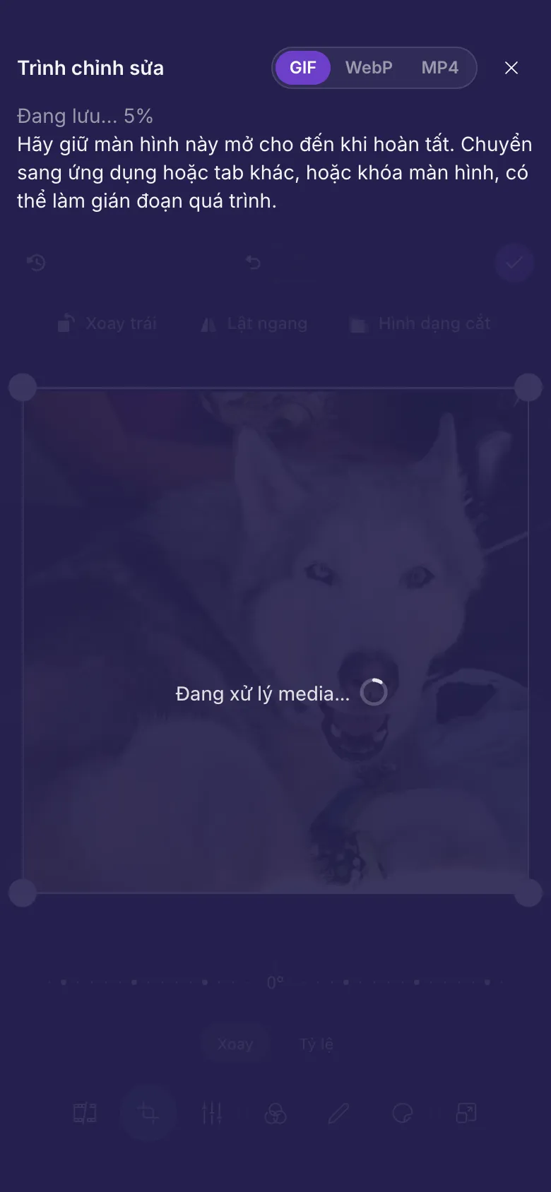 Trình chỉnh sửa đang lưu một GIF