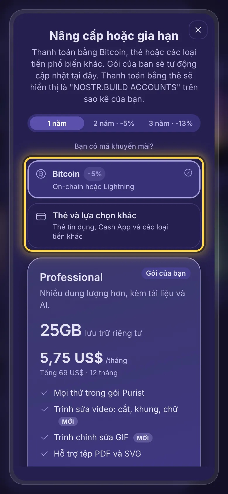 Lựa chọn thanh toán: Bitcoin, hoặc thẻ và lựa chọn khác.