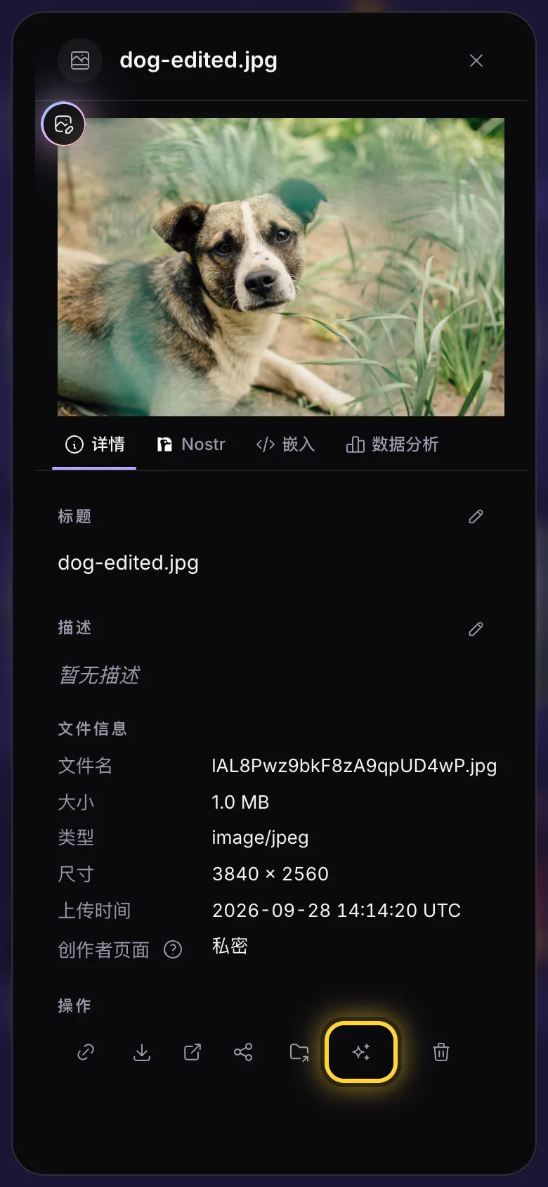 图片的详情面板，在 AI Studio 中使用按钮已标出。