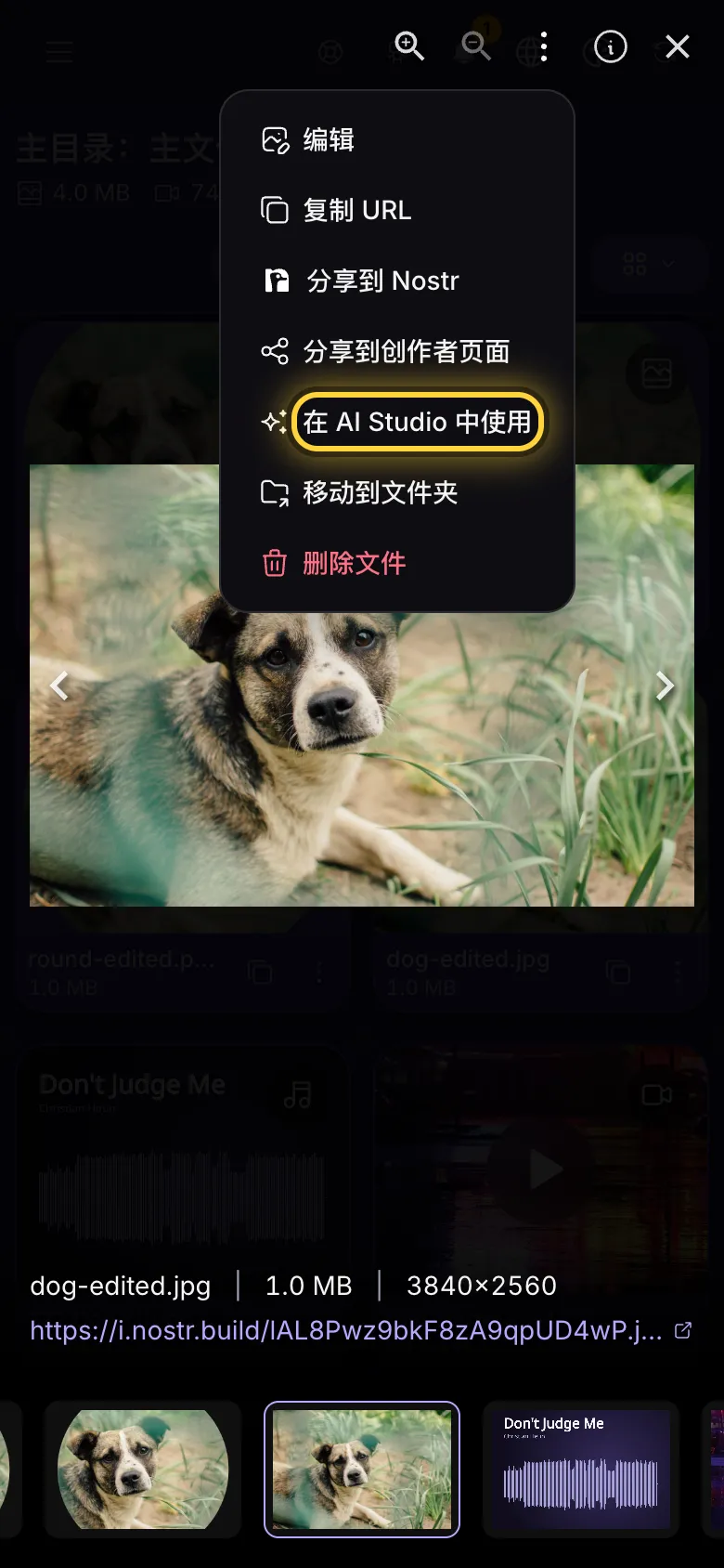全屏打开的图片,操作菜单已打开,在 AI Studio 中使用已标出。