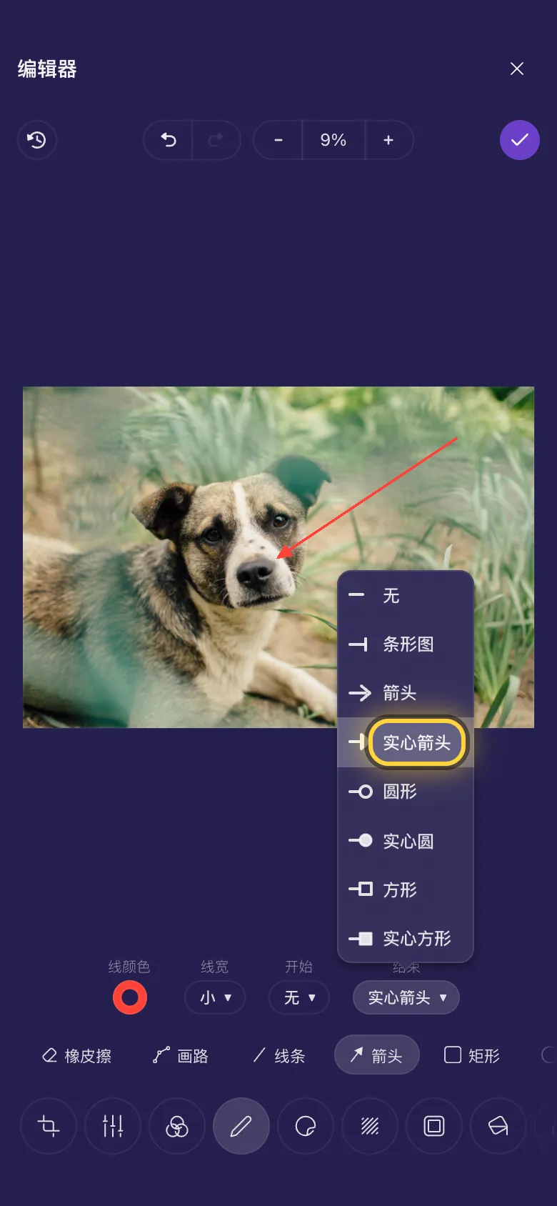一个指向狗鼻子的箭头，线端样式列表已打开