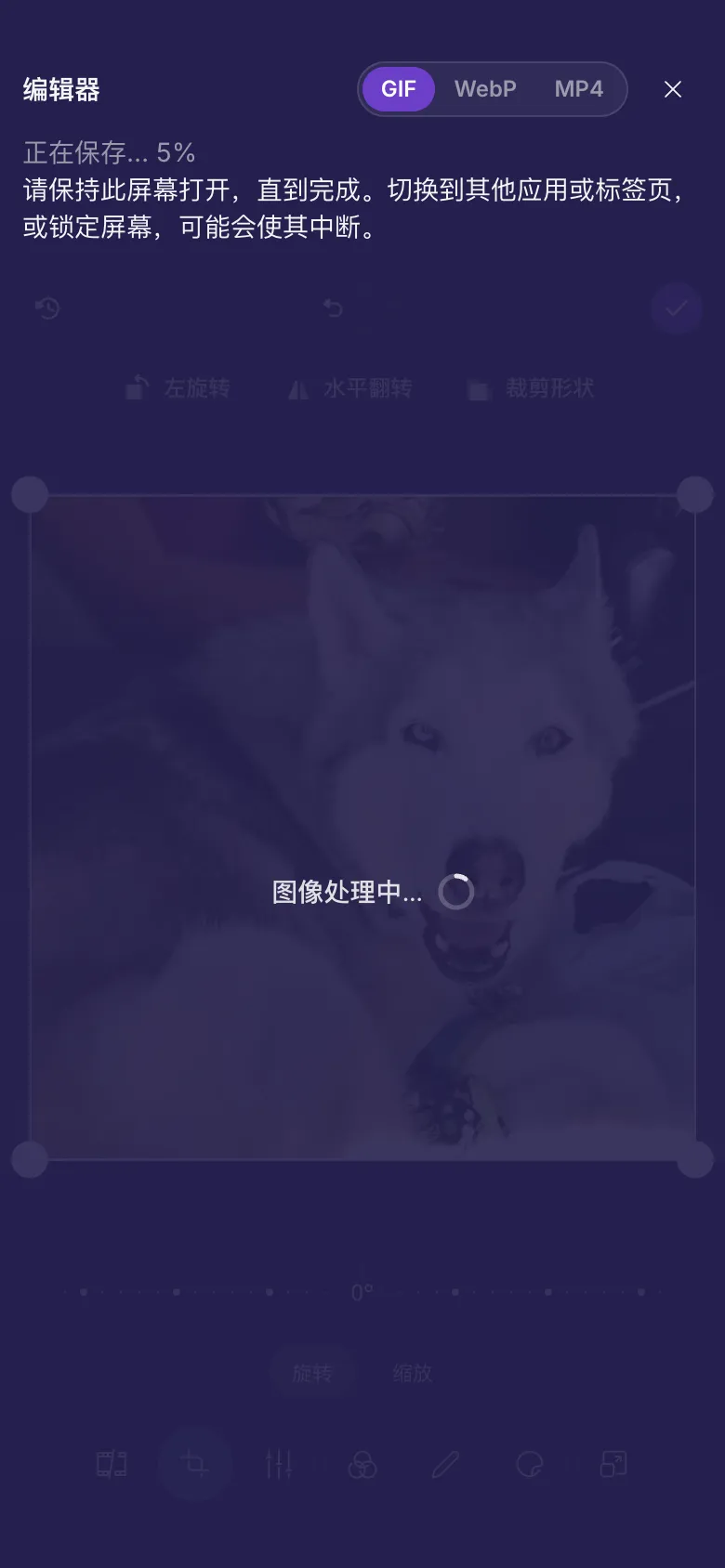 编辑器正在保存 GIF